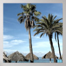 Pesquisar por aruba pôsteres Palmeiras