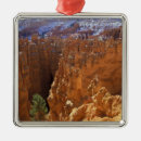 Pesquisar por wild ornamentos Natureza