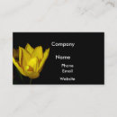 Pesquisar por tulipa amarela cartao de visita Flor