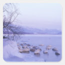 Pesquisar por pássaro neve adesivos Gelo