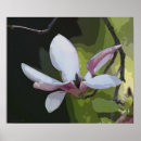 Pesquisar por flor japonesa pósteres pôsteres Flora