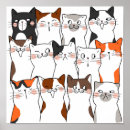 Pesquisar por funny animal pósteres pôsteres Gato