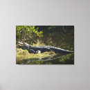 Pesquisar por arte réptil impressão de canvas Natureza