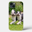 Pesquisar por muito bem iphone capas For her