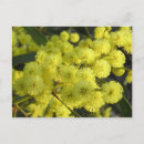 Pesquisar por flores amarelas douradas cartoes postais Amarelo