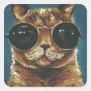 Pesquisar por gato dos óculos sol adesivos Felino