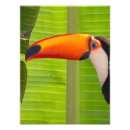 Pesquisar por ampliação pôsteres Natureza