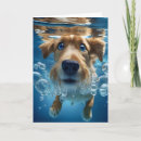 Pesquisar por água salgada cartoes Cachorros