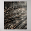 Pesquisar por witch pôsteres Fotografia