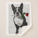 Pesquisar por boston mantas Fofinhos boston terriers