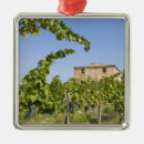 Pesquisar por toscana ornamentos Natureza
