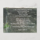 Pesquisar por mentiras cartoes postais Verdade