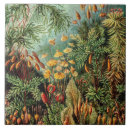 Pesquisar por decorativos azulejos For him
