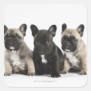 Pesquisar por pedigree adesivos Animal
