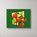 Pesquisar por tomate impressão de canvas Fotografia
