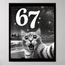 Pesquisar por gato memes pósteres pôsteres Bolo