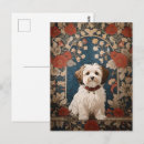 Pesquisar por floral havaiano cartoes postais Colheita