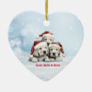 Pesquisar por vizsla ornamentos Fofo