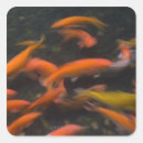 Pesquisar por feng shui adesivos Sorte