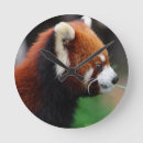 Pesquisar por ursos panda relogios de parede Porcelana