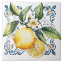 Pesquisar por fruta decorativa azulejos Mediterrâneo