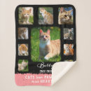 Pesquisar por cats mantas For pets