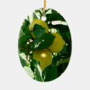 Pesquisar por limão ornamentos Amarelo