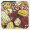 Pesquisar por milho adesivos Comida