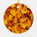 Pesquisar por india ornamentos Paisagem