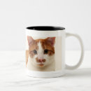 Pesquisar por gato branco canecas Felino