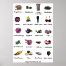 Pesquisar por fruta roxa pôsteres Roxo