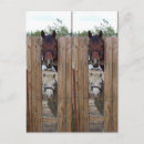 Pesquisar por cavalo pequeno cartoes postais Marcadores