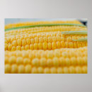 Pesquisar por corno pósteres pôsteres Corn on the cob