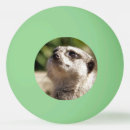 Pesquisar por cute tenis Animais