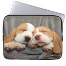 Pesquisar por filhotes capas Filhote de cachorro
