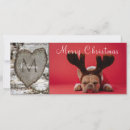 Pesquisar por casa do pássaro cartoes Para eles