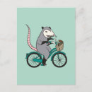 Pesquisar por marsupial cartoes postais Gambá