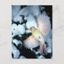 Pesquisar por bernard cartoes postais Neve