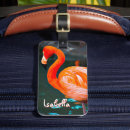 Pesquisar por flamingo bagagem tags Fotografia