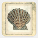 Pesquisar por criatura marinha adesivos Concha