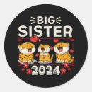 Pesquisar por sisters adesivos Irmã mais velha