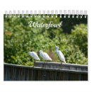 Pesquisar por observadores calendarios Natureza