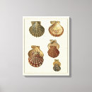 Pesquisar por sepia impressão de canvas Vida marinha