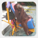 Pesquisar por cadeira de rodas adesivos Desabilitou