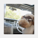 Pesquisar por partes do corpo imas Óculos de sol