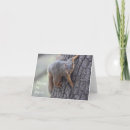 Pesquisar por funny squirrel cartoes Cute