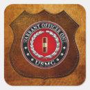 Pesquisar por garantia adesivos C7 insígnia militar 3d