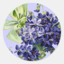 Pesquisar por flor violeta adesivos Violetas
