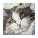 Pesquisar por gato de gato malhado azulejos Animais de estimação