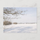 Pesquisar por 1 ano há cartoes postais Qualquer pessoa